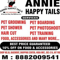 Annie Happy Tails Pet Grooming Faridabad Sector 21a Pet Shops In Faridabad Delhi Justdial