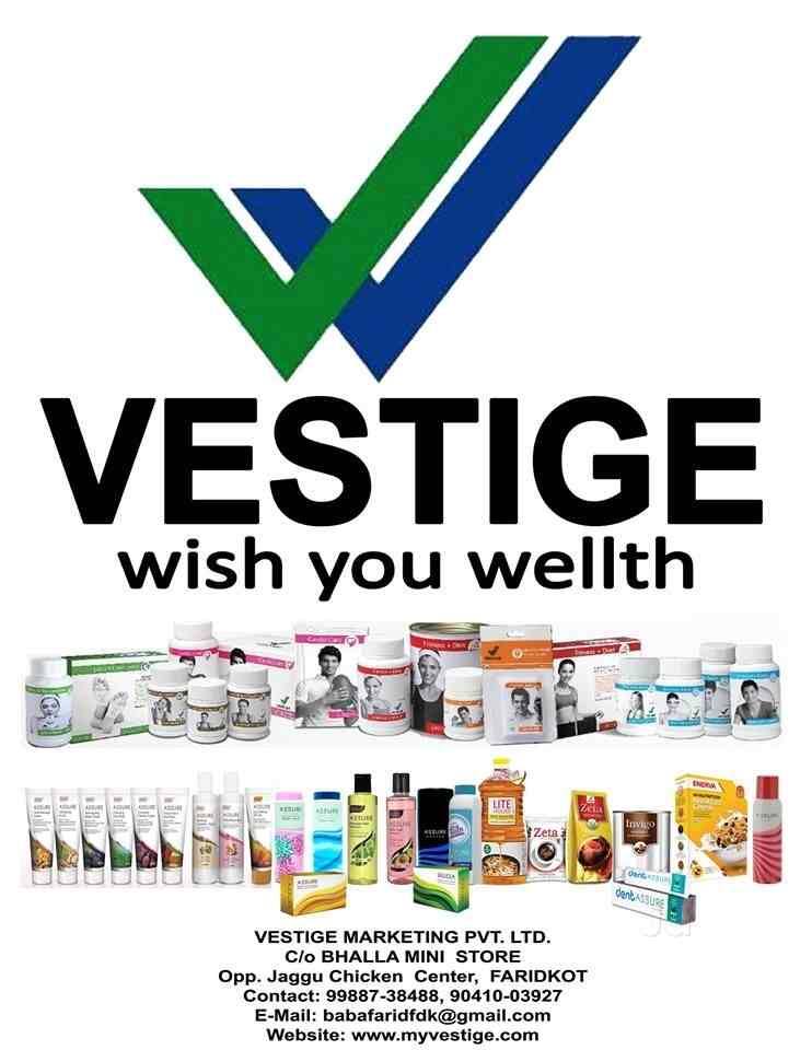 VESTIGE 刃に残るは君の面影 JapaneseClass.jp