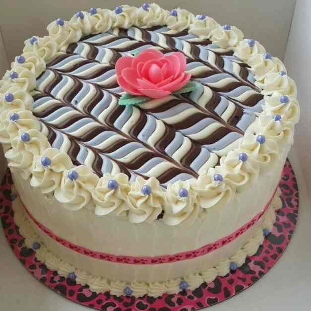 Update 56+ ashwani cake house zira latest awesomeenglish.edu.vn