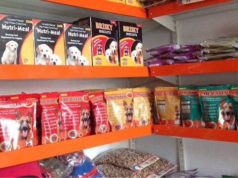 pet shop in indirapuram