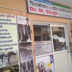 Pet Care Dog Clinic Veterinary Doctors Book Appointment Online Veterinary Doctors In Modi Nagar Ghaziabad Delhi Justdial