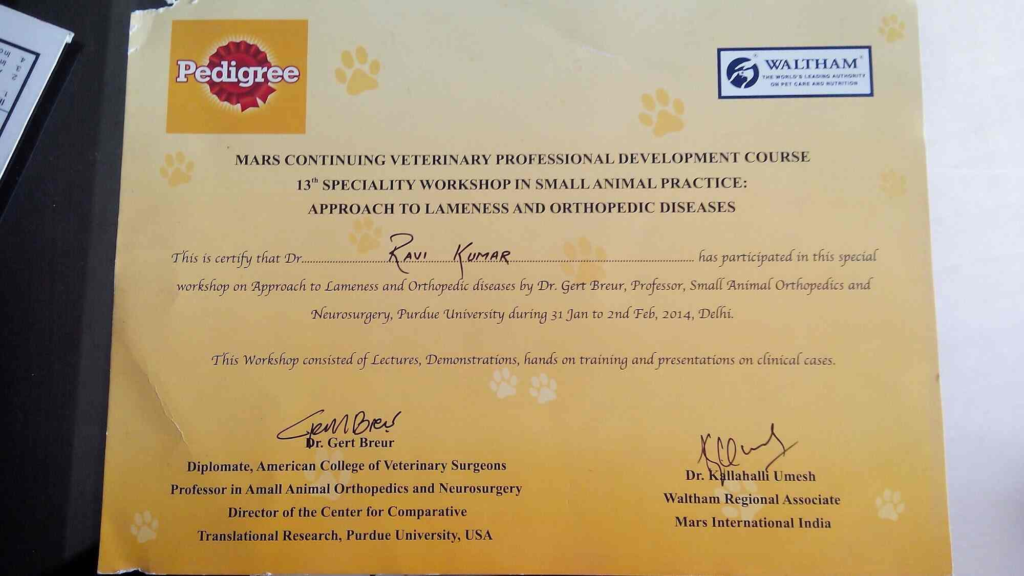 Dog best sale clinic indirapuram