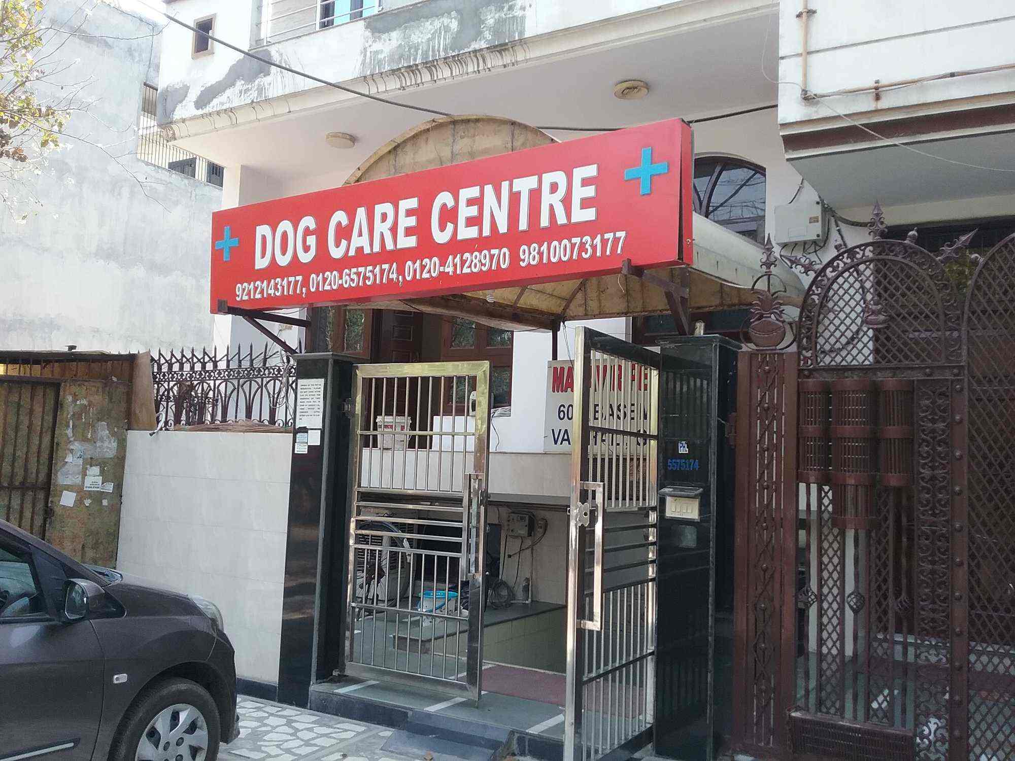 Dog Care Centre Pet Shops Book Appointment Online Pet Shops In Vaishali Sector 4 Ghaziabad Delhi Justdial