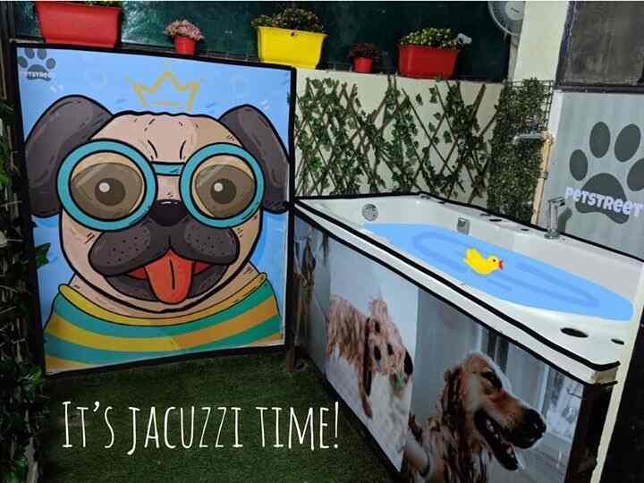 pet shop in indirapuram