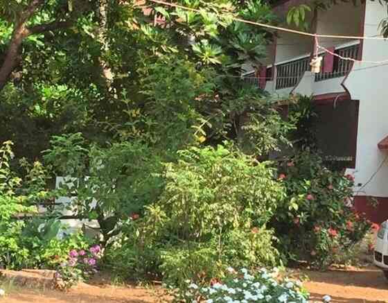 Sea View Cottages Baga Hotels In Goa Justdial