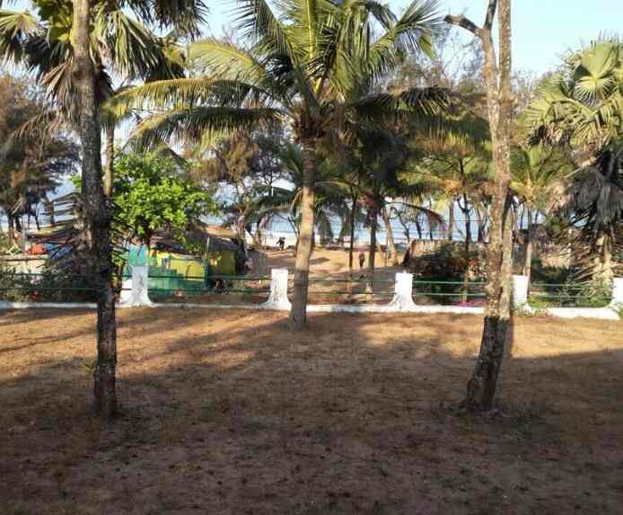 Sea View Cottages Baga Hotels In Goa Justdial