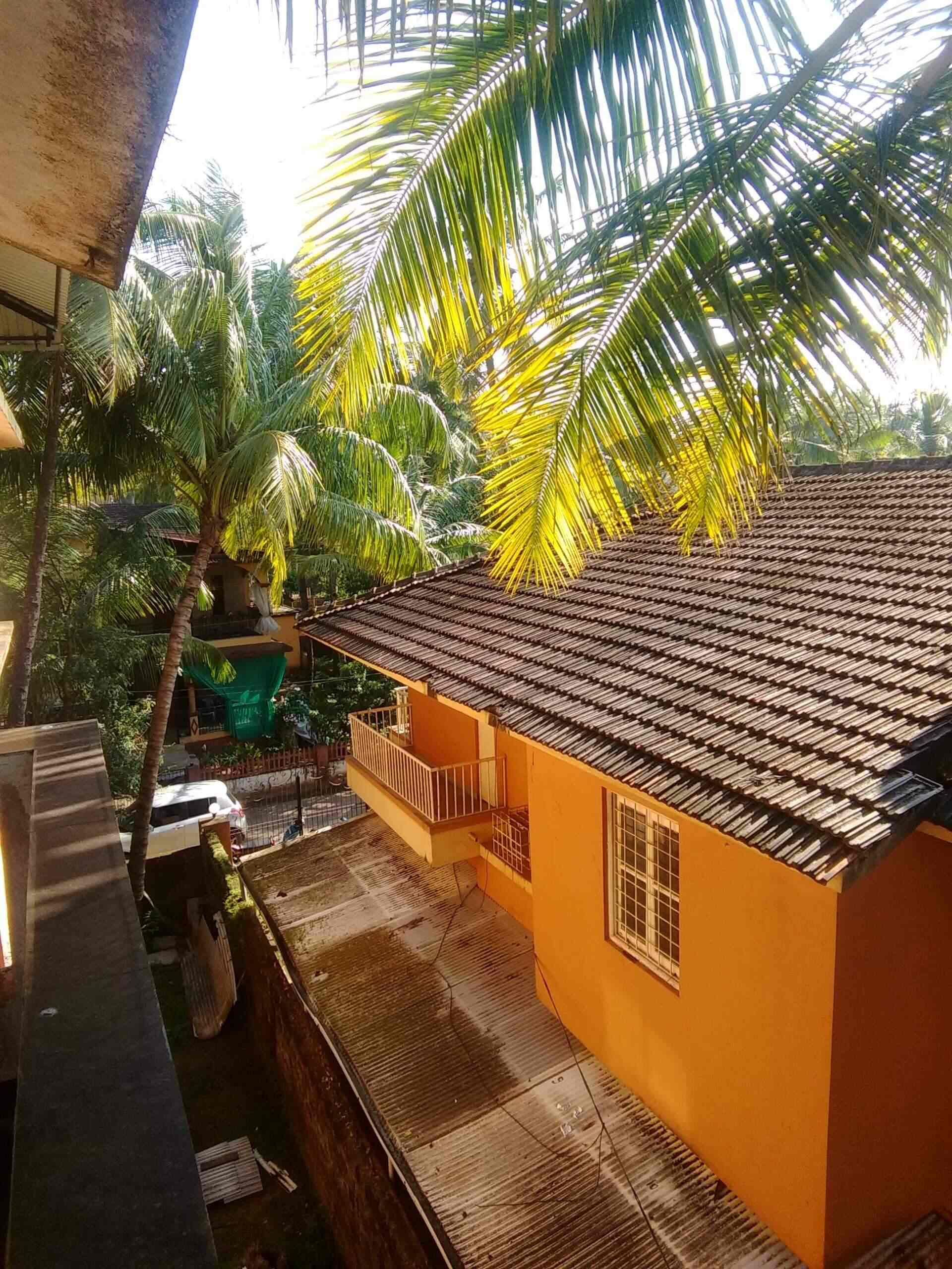 Gulmohar Cottages Calangute Hotels In Goa Justdial
