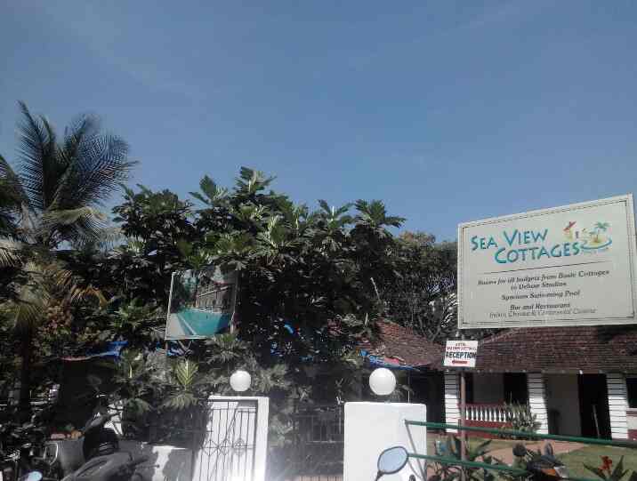 Sea View Cottages Baga Hotels In Goa Justdial
