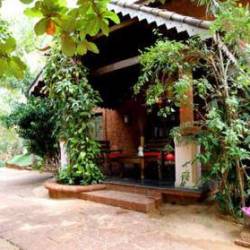 Raman Calangute Cottages On Hire In Goa Justdial