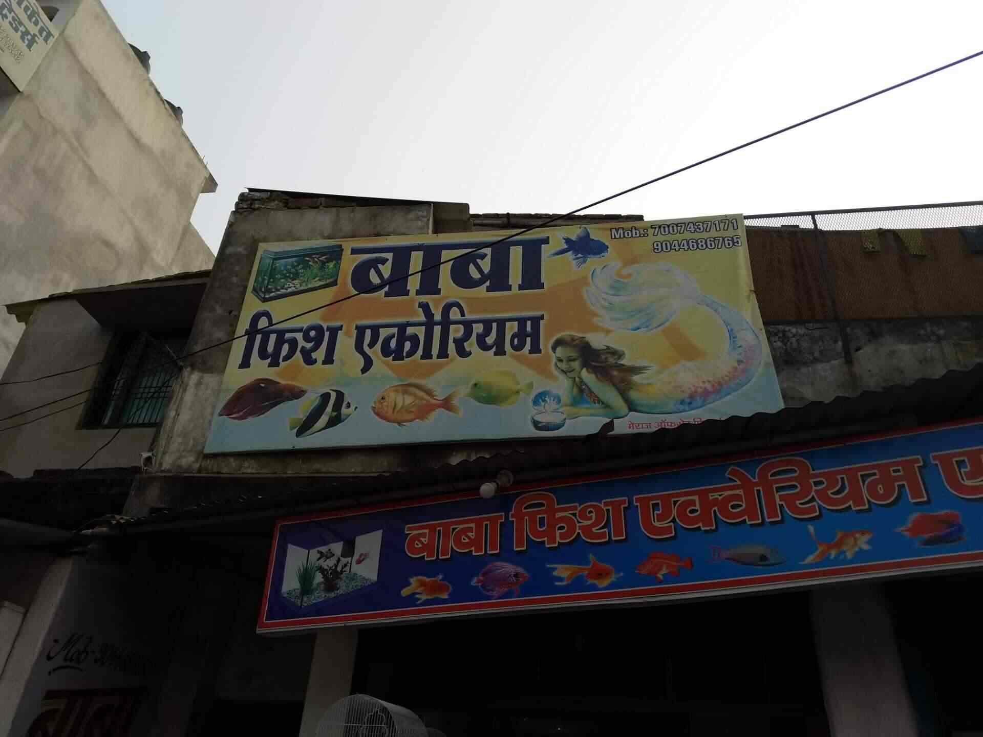 Gupta Fish Company Photos Gorakhpur Ho Gorakhpur Pictures
