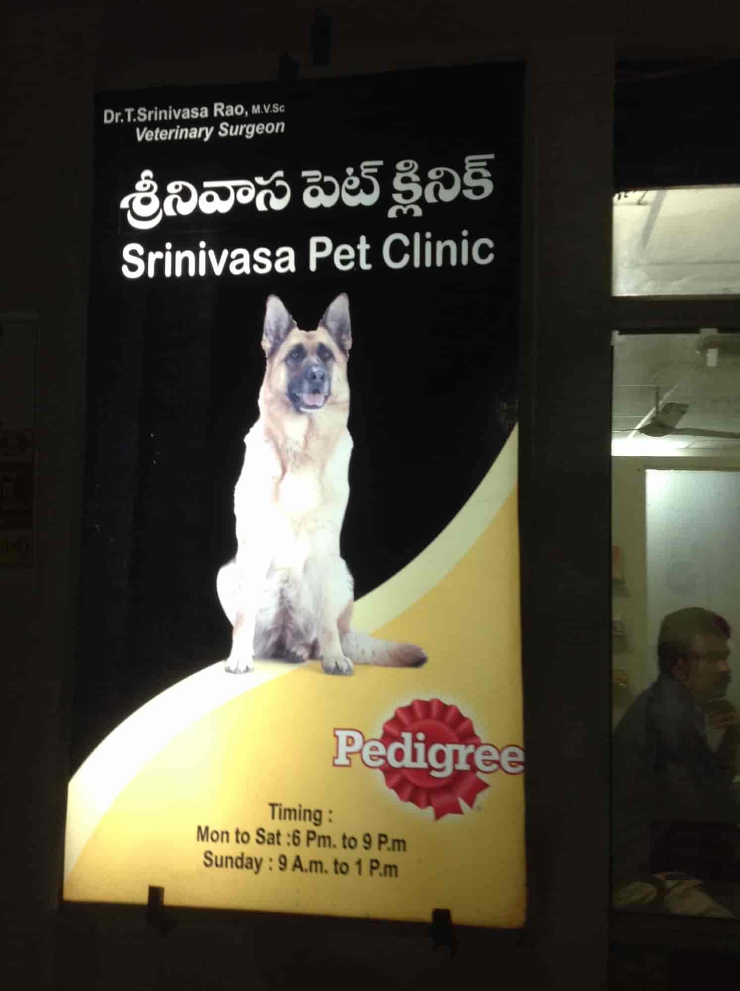 best doctor for dogs near me