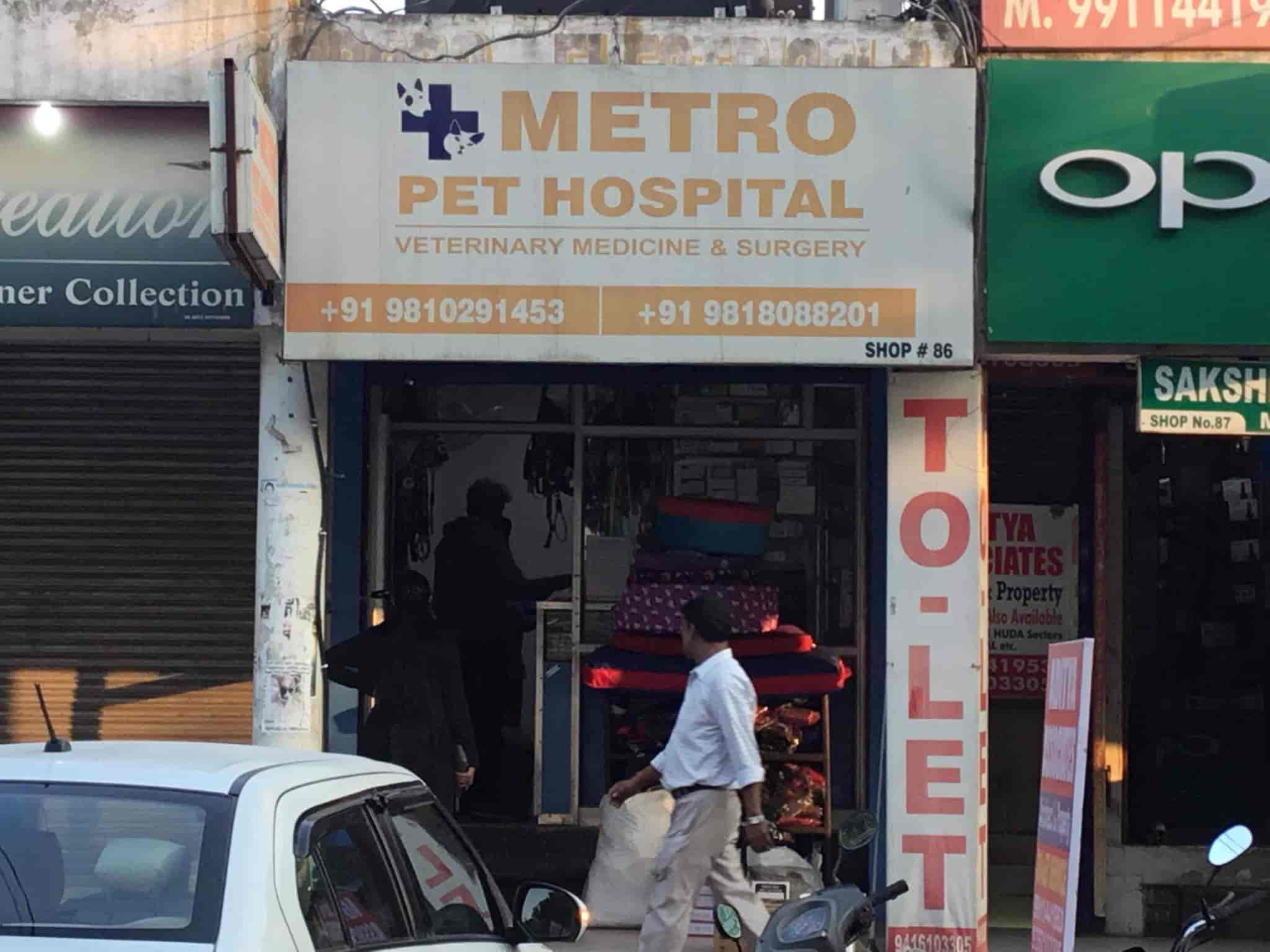 sportdog tek 1.0 collar