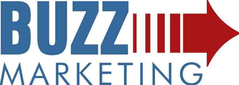 buzz marketing solutions internet website developers in delhi buzz marketing