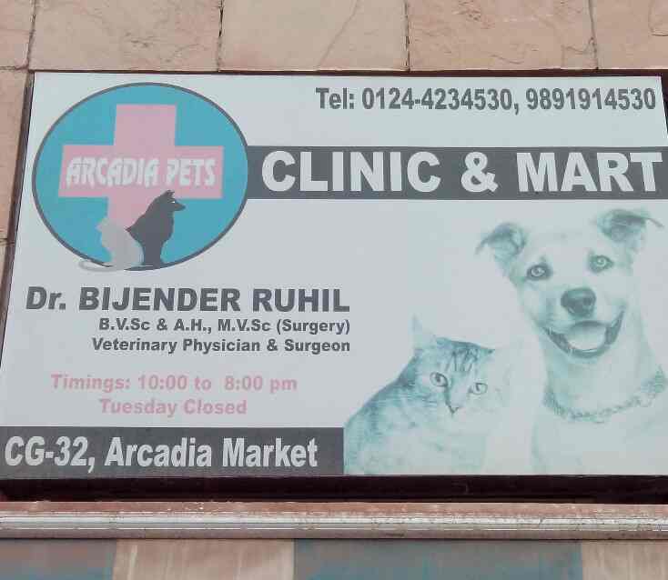 Dr Bijender Arcadia Pets Clinic Mart Veterinary Doctors Book Appointment Online Veterinary Doctors In South City 2 Gurgaon Delhi Justdial