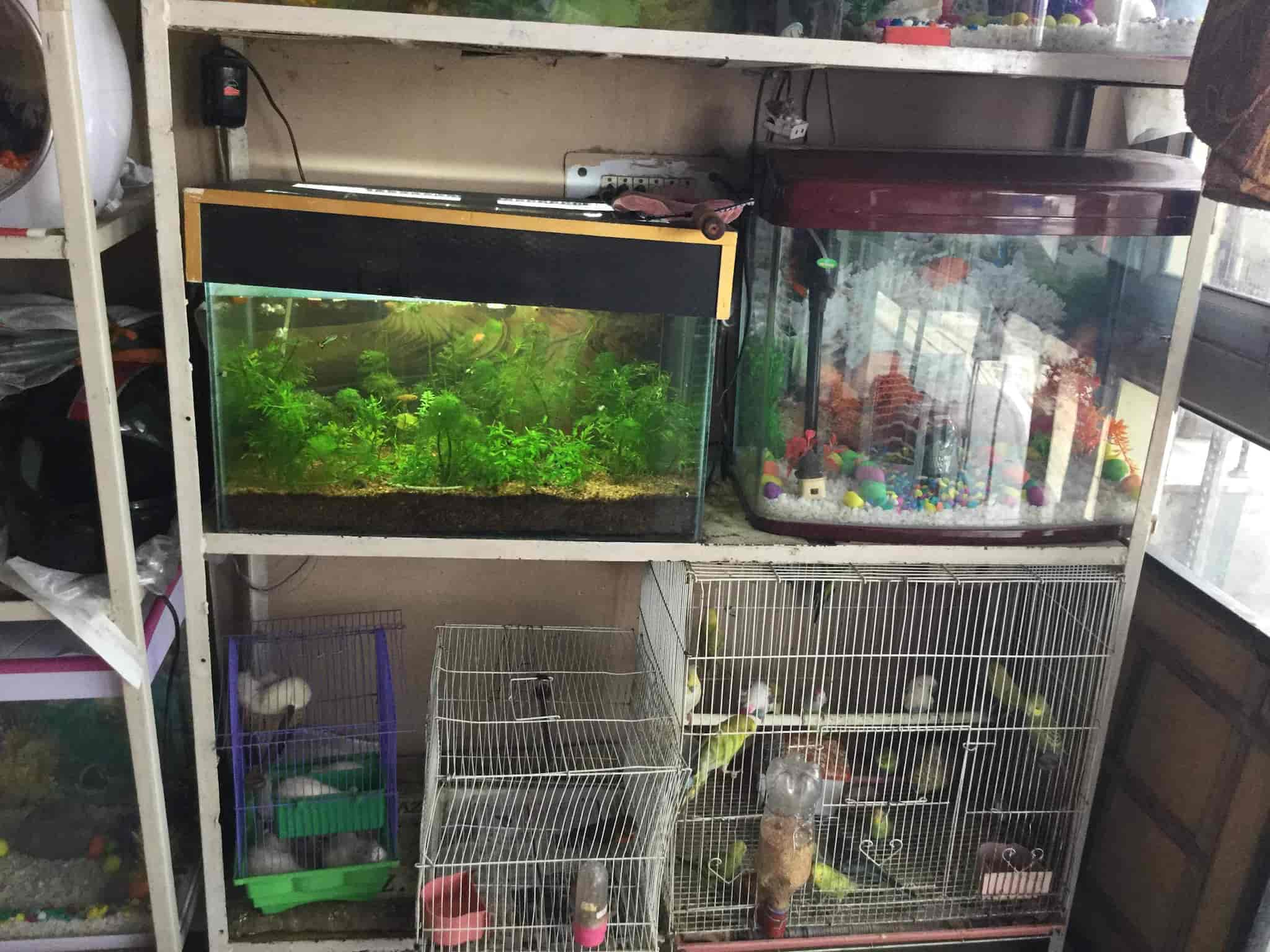crystal aquarium pet shop