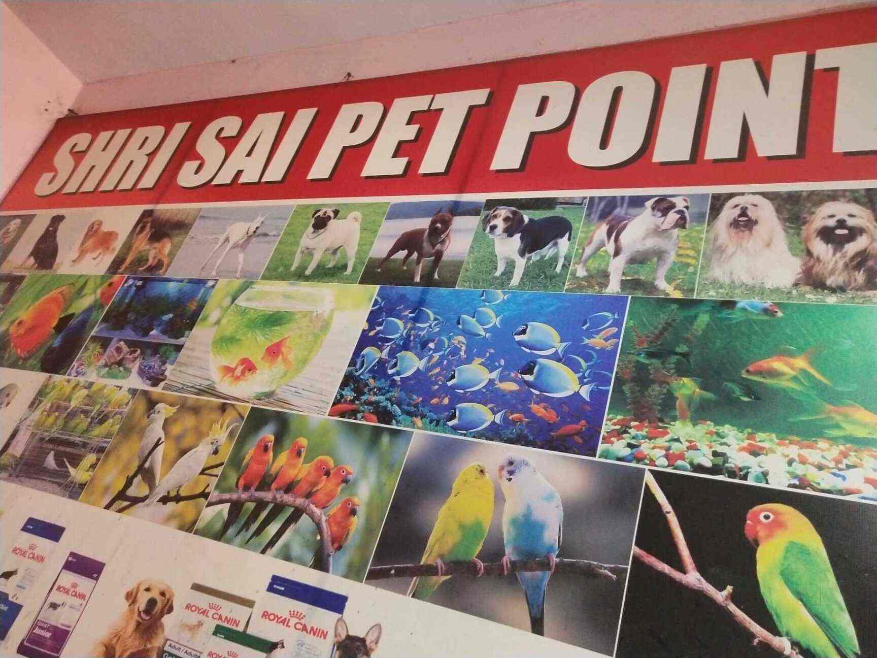 manesar pet clinic