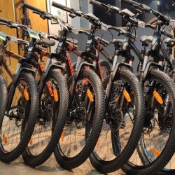 Green Bikes, Maligaon - Bicycle Dealers 
