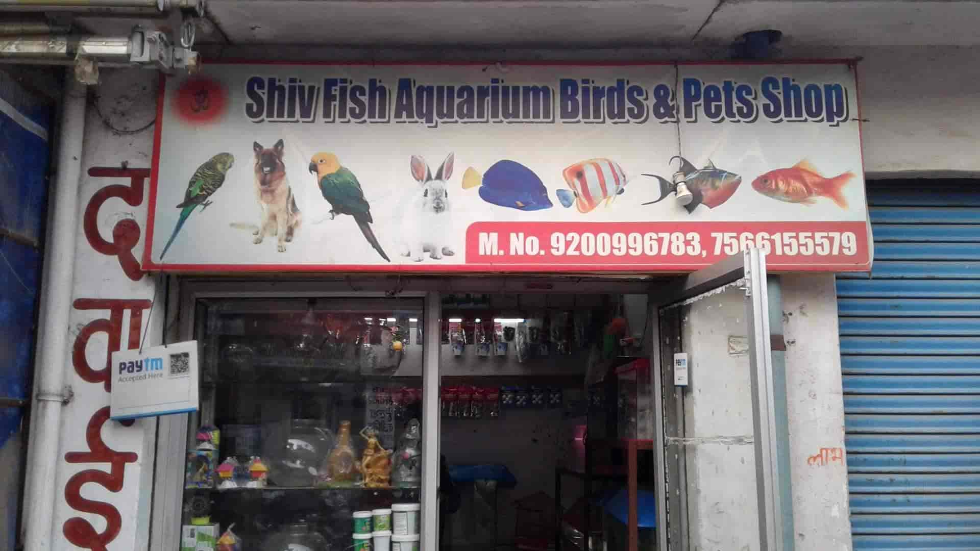 paw patroller 6024966