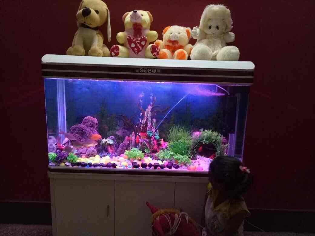 google fish aquarium closed