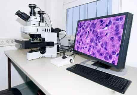 Lab view 2