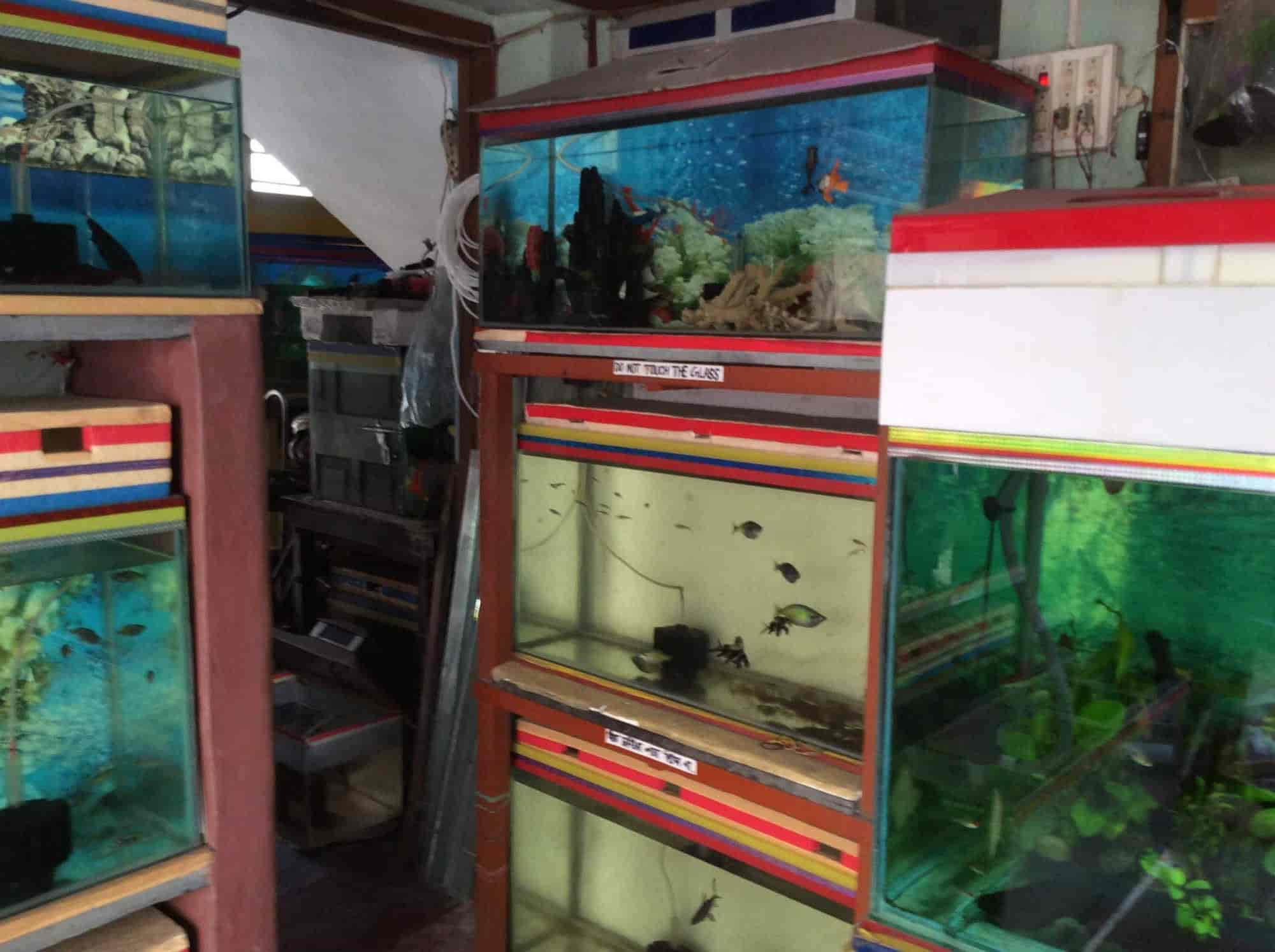 aquatic fish shop near me