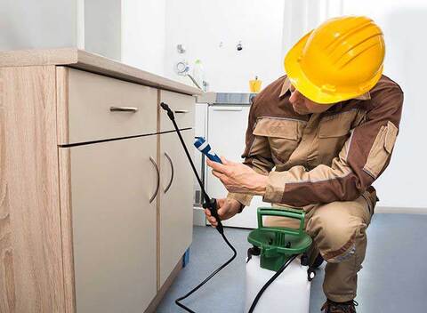 Xpert Pest Control Services Pvt Ltd, Gachibowli - Pest Control Services