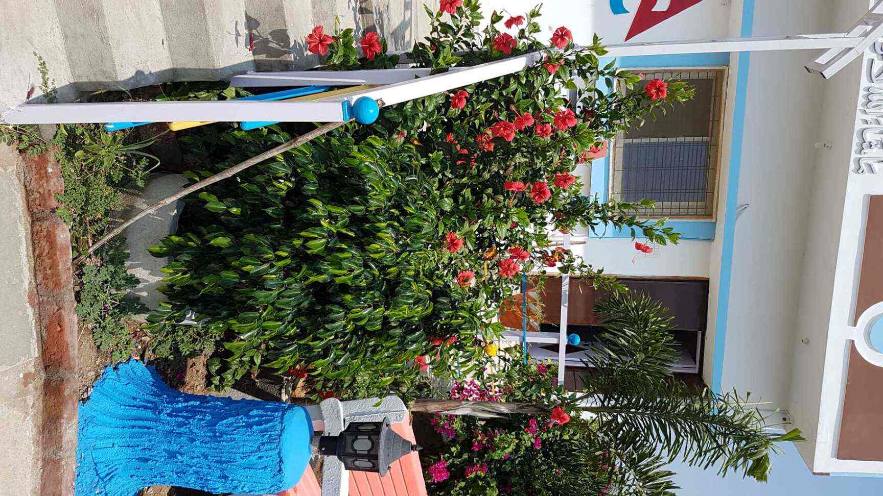 Allied Constructions Rajendra Nagar Construction Companies In Hyderabad Justdial