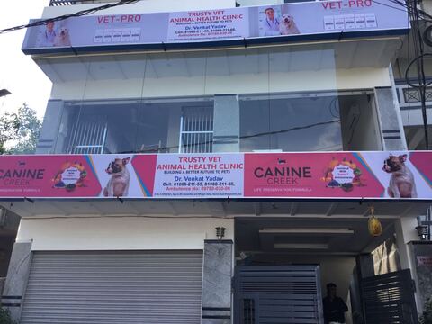 Trusty Vet Multispeciality Pet Hospital Veterinary Hospitals Book Appointment Online Veterinary Hospitals In Jubilee Hills Hyderabad Justdial