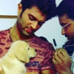 happy dogs kennel khanapur