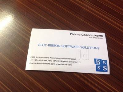 Blue Ribbon Software Solutions Habsiguda Computer Software