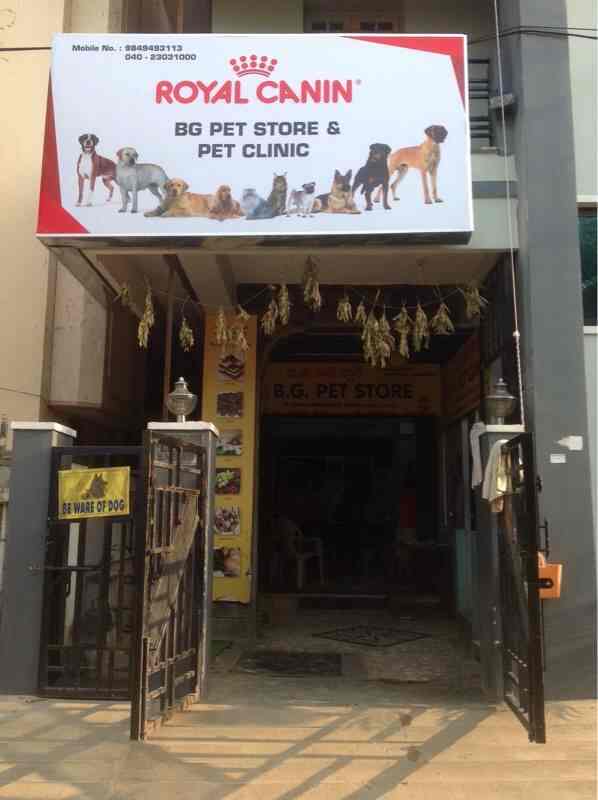 bg pet clinic