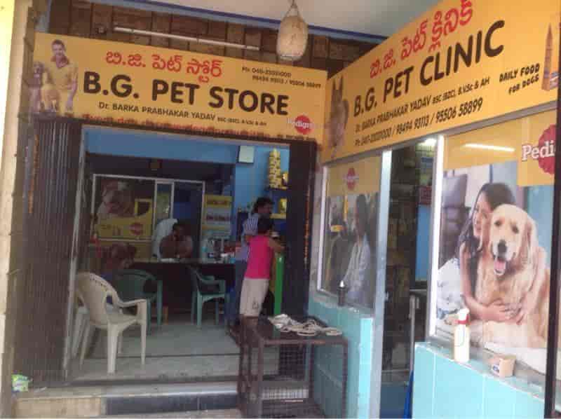 bg pet clinic
