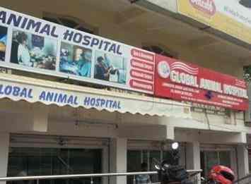 Dr Gangadhar Global Animal Hospital Veterinary Doctors Book Appointment Online Veterinary Doctors In Alwal Hyderabad Justdial
