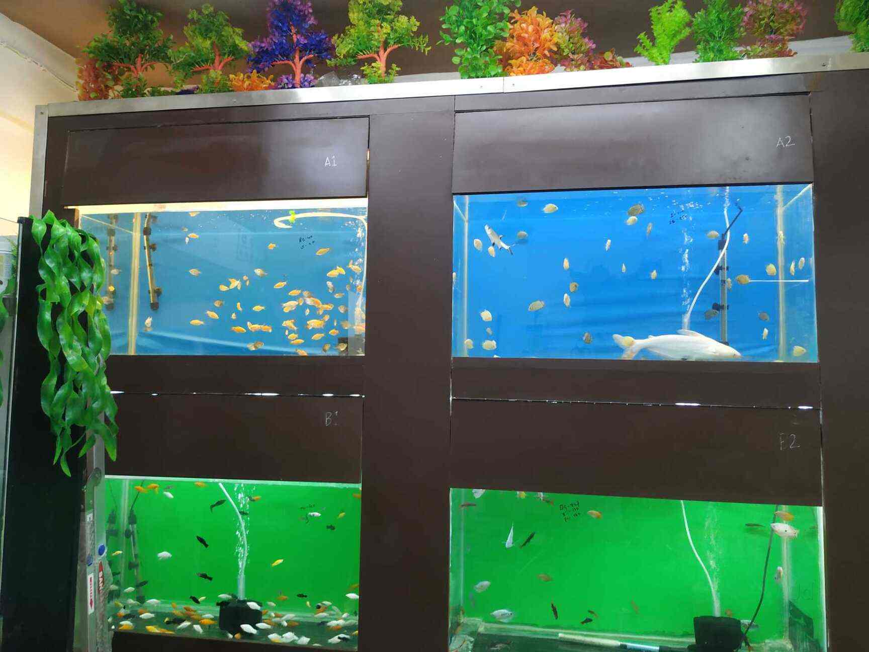 nearest aquatic shop