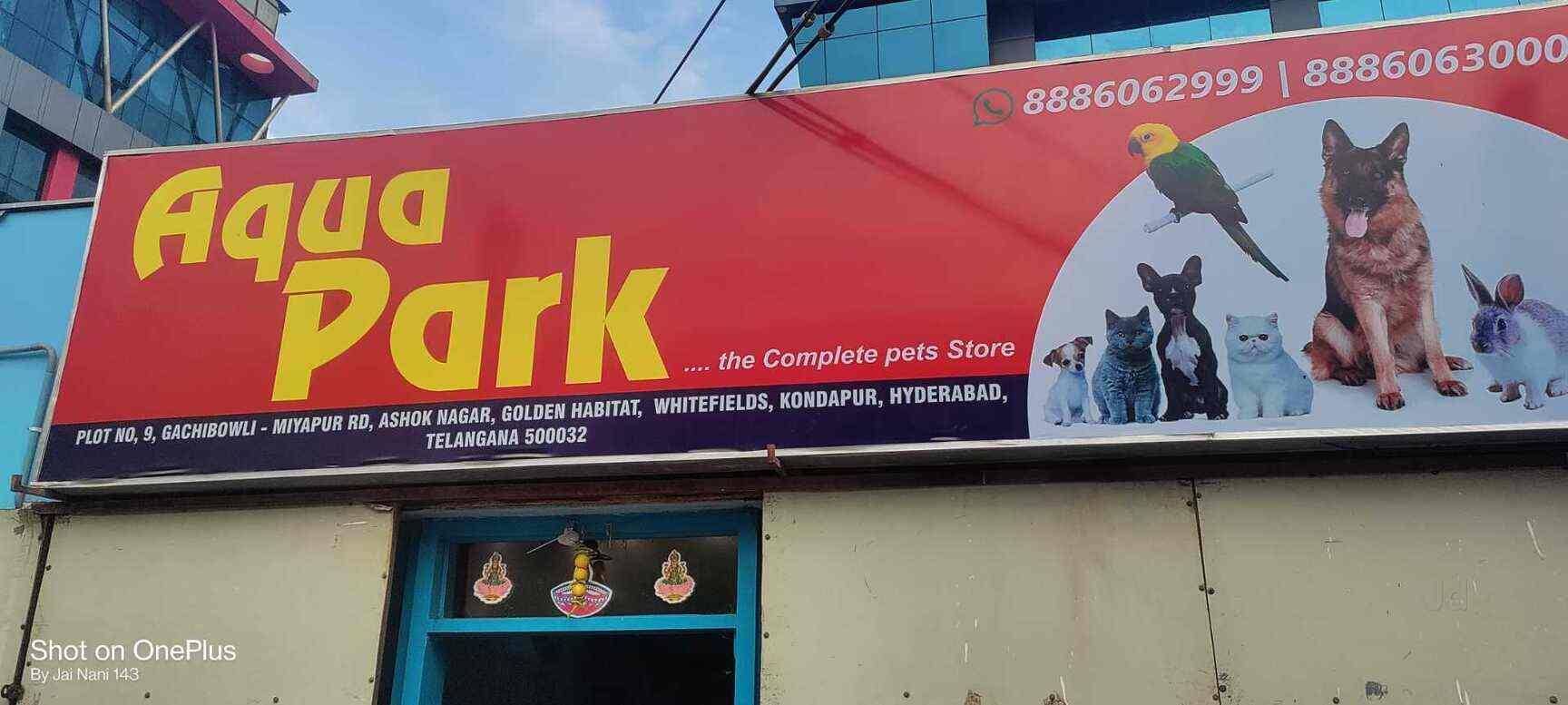 pet shop seksyen 9