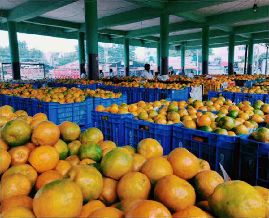 scarpe stringate uomo church