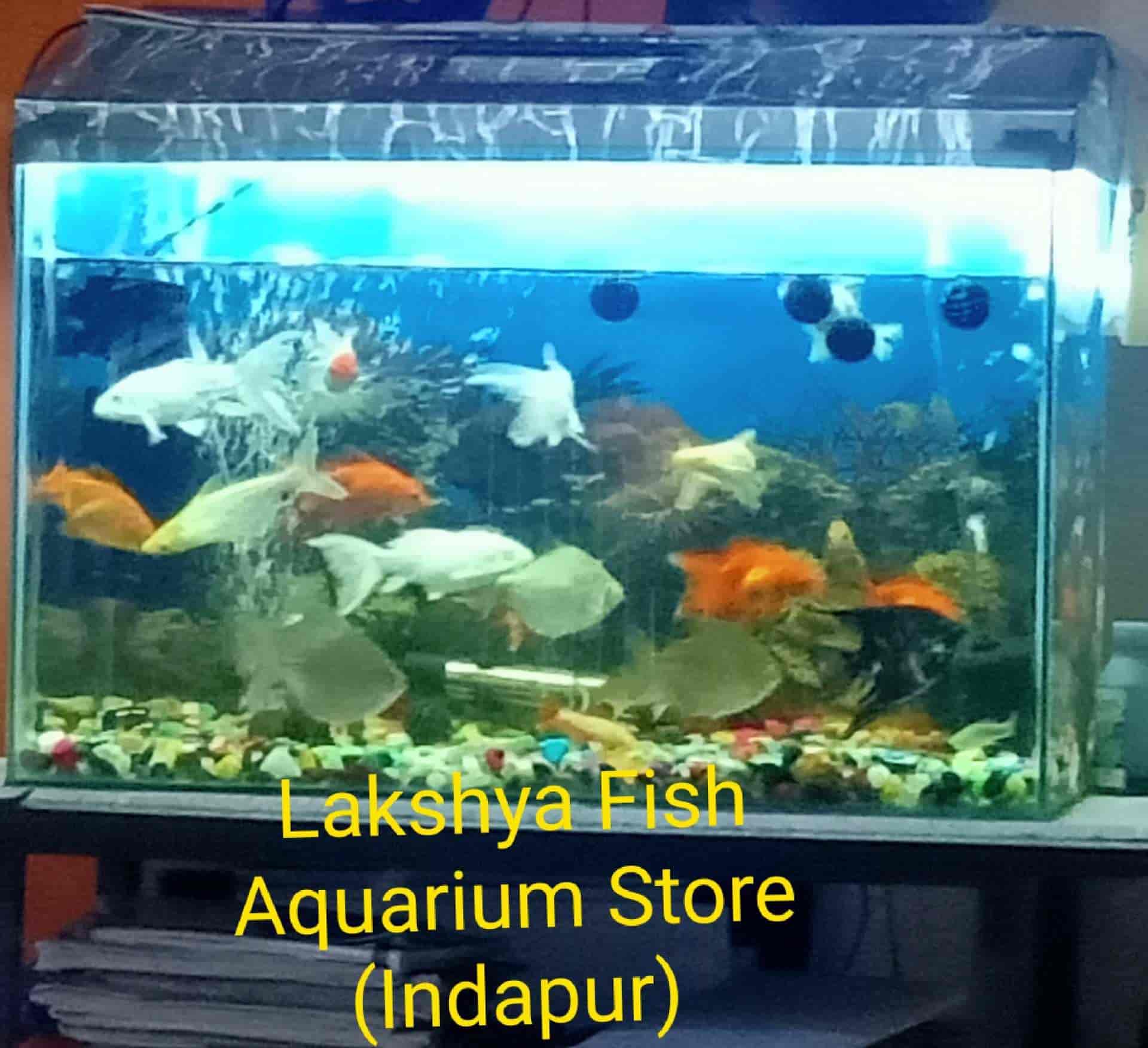 nearest aquarium store