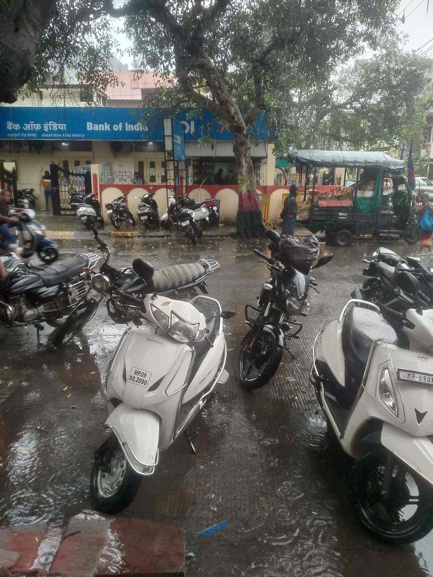 Dr. Amit Bang in Sudama Nagar,Indore - Best Paediatricians near me in Indore  - Justdial