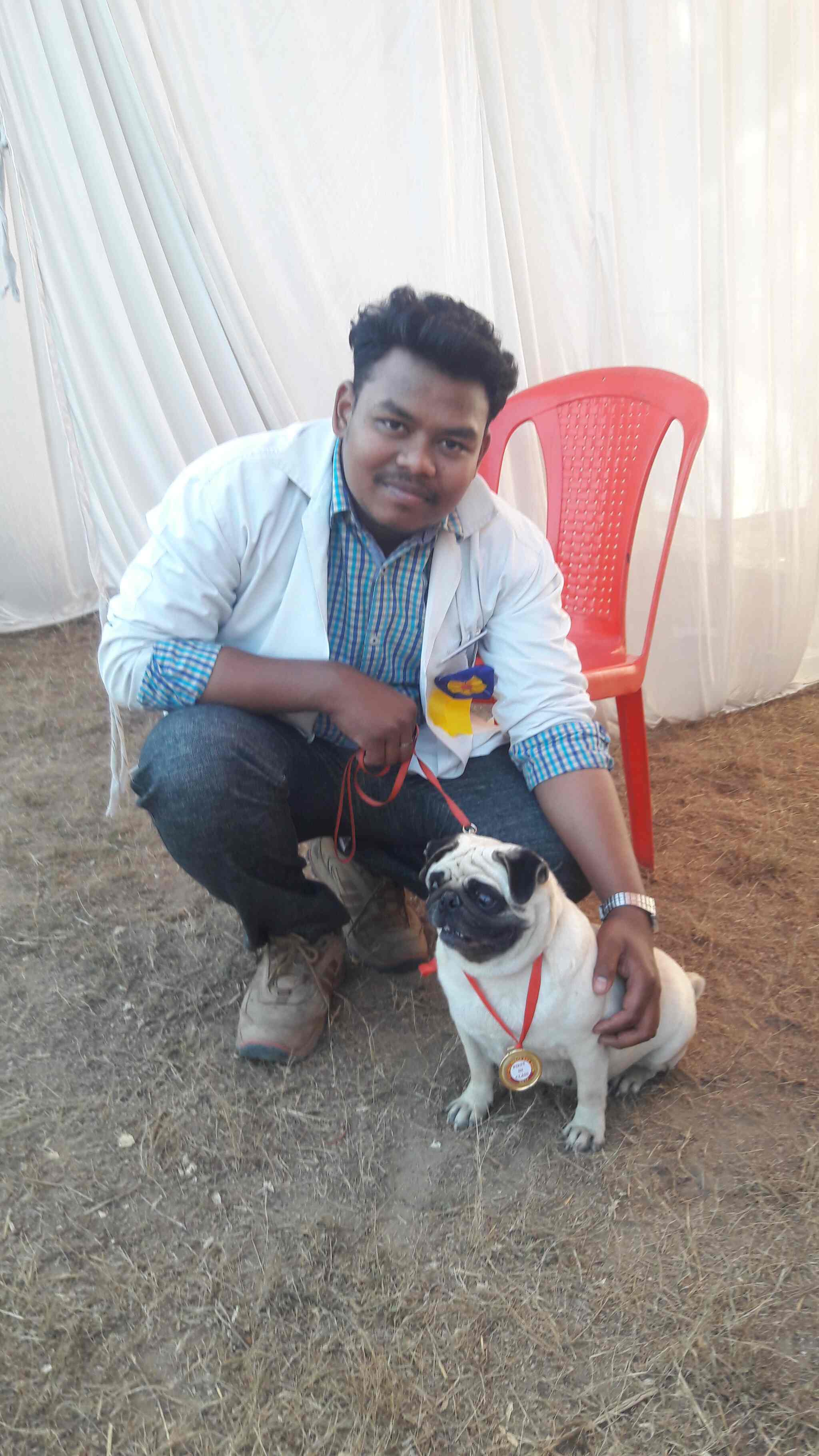 animal nutritionist