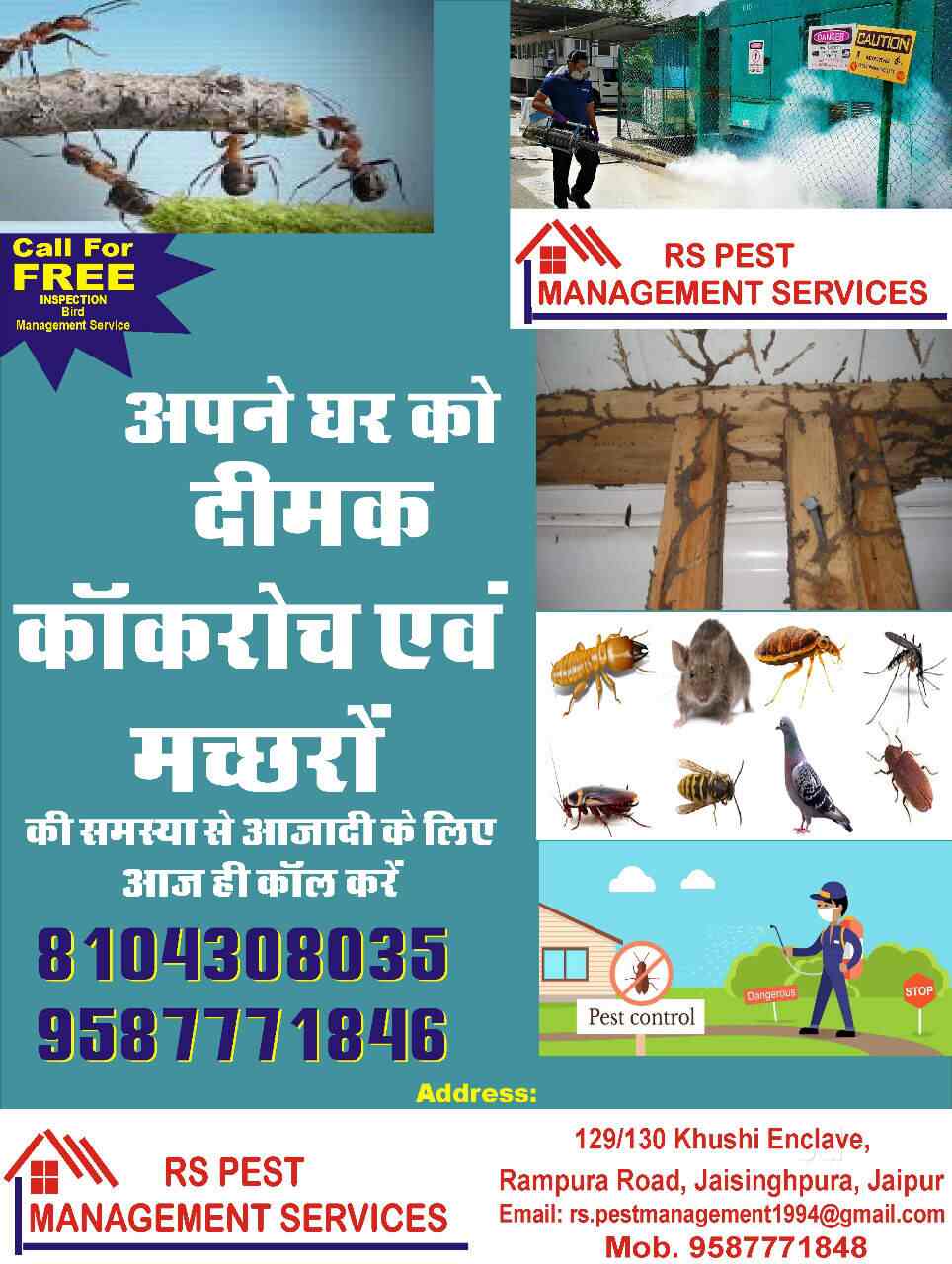 r s pest management