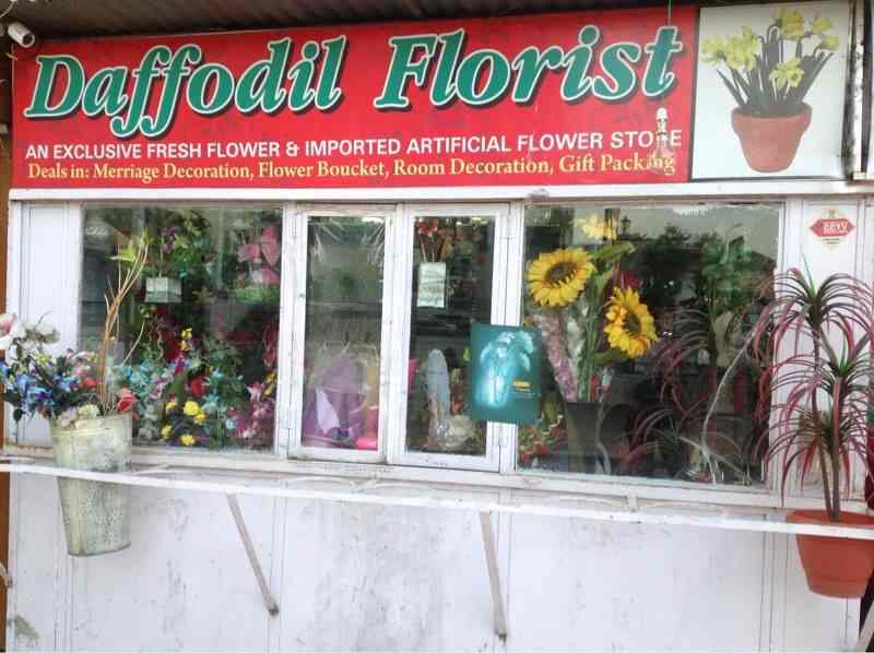 Daffodils Flower Delivery Best Flower Site