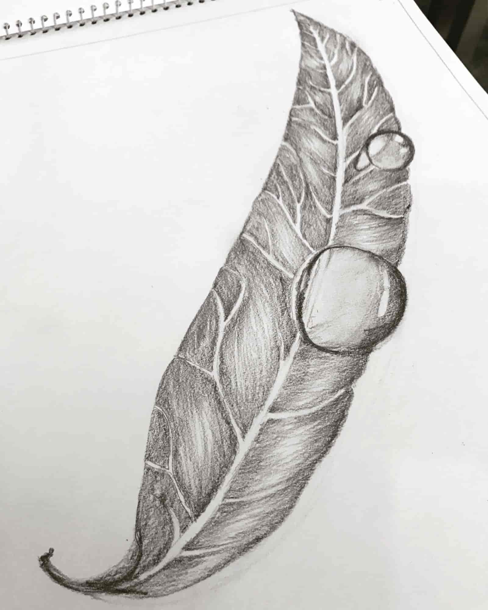 Mandala Art Gallery & Studio Mandala Art Gallery & Studio