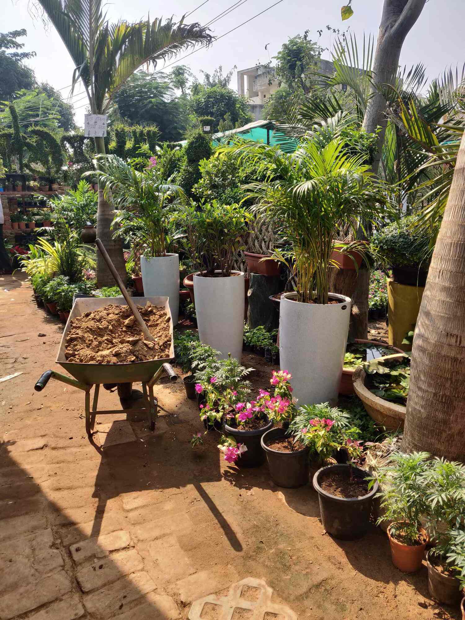 Home Gardens Ajmer Road Plant Nurseries In Jaipur Justdial