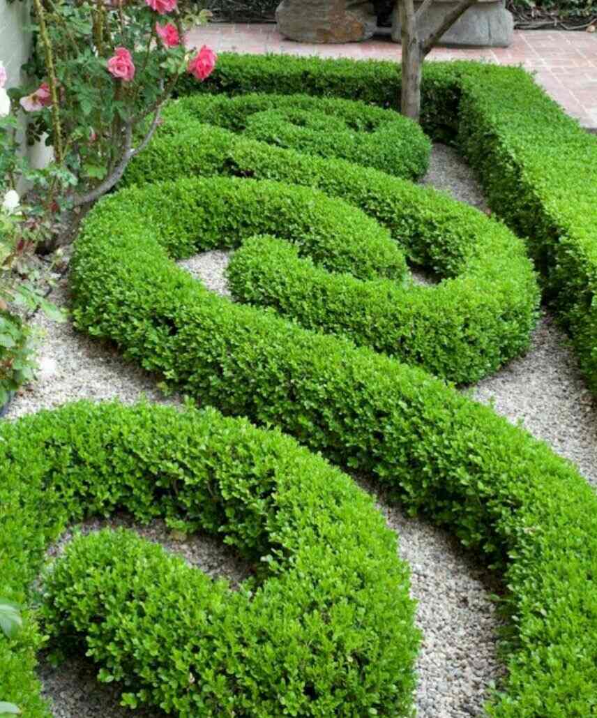 Landscape Garden Jaipur