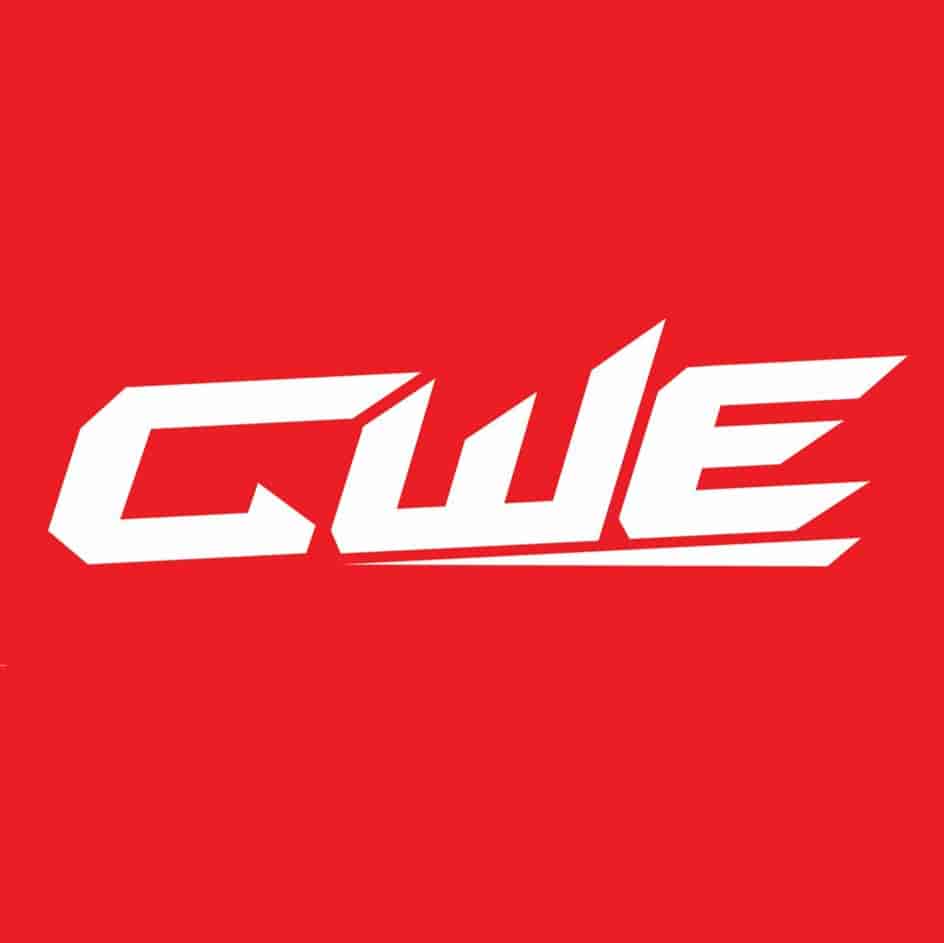 Cwe Pvt Ltd in Rama Mandi,Jalandhar - Best Wrestling Classes near me in  Jalandhar - Justdial