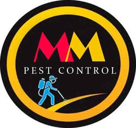 M M Pest Control Reviews Sakchi Jamshedpur 204 Ratings Justdial Page 13
