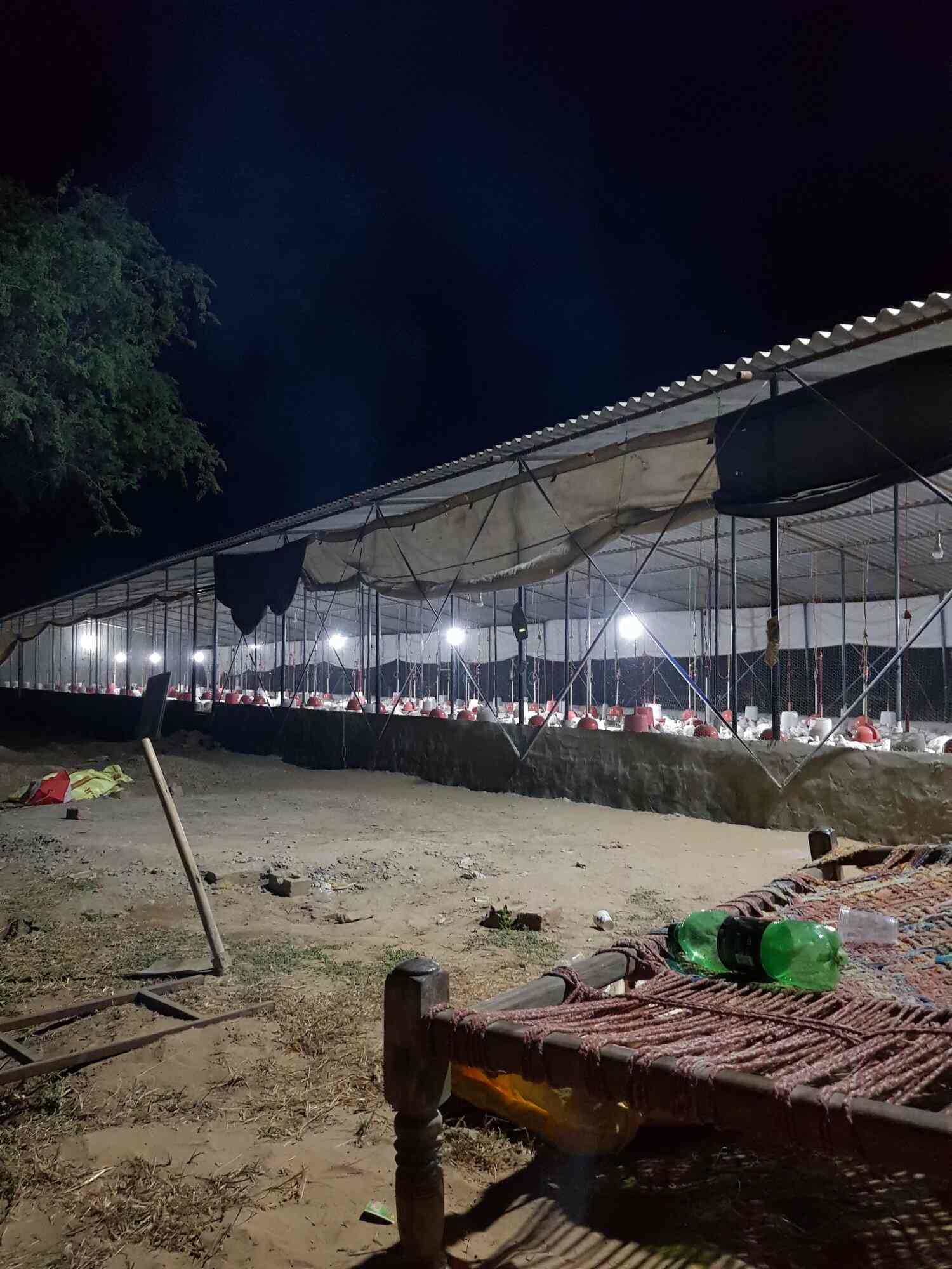 poultry farm nj poultry farm nj