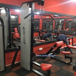 Gym Equipment Manufacturer Rajasthan Pratap Nagar Exerciser Equipment Dealers In Jodhpur Justdial Gym Equipment Manufacturer Rajasthan Pratap Nagar Exerciser Equipment Dealers In Jodhpur Justdial