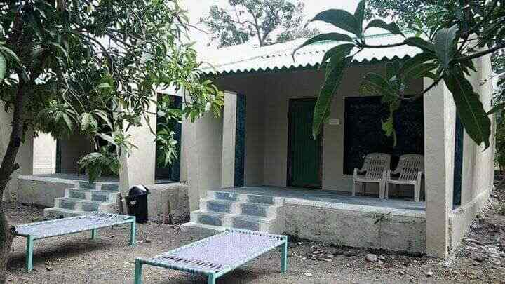 Gir Lion Pugmark Cottage Resort Talala Resorts In Junagadh Justdial Gir lion tour is specially crafted and offered to give tourists an unbelievable, thrilling and highly entertaining accommodation experience across the habitat of the great asiatic lions and at pretty. gir lion pugmark cottage resort