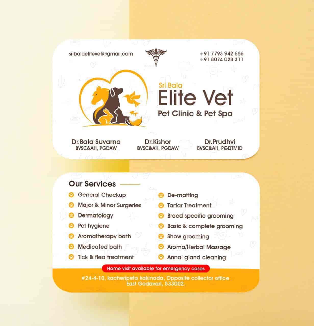 Elite veterinary hot sale clinic